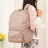 Foldable College Bag